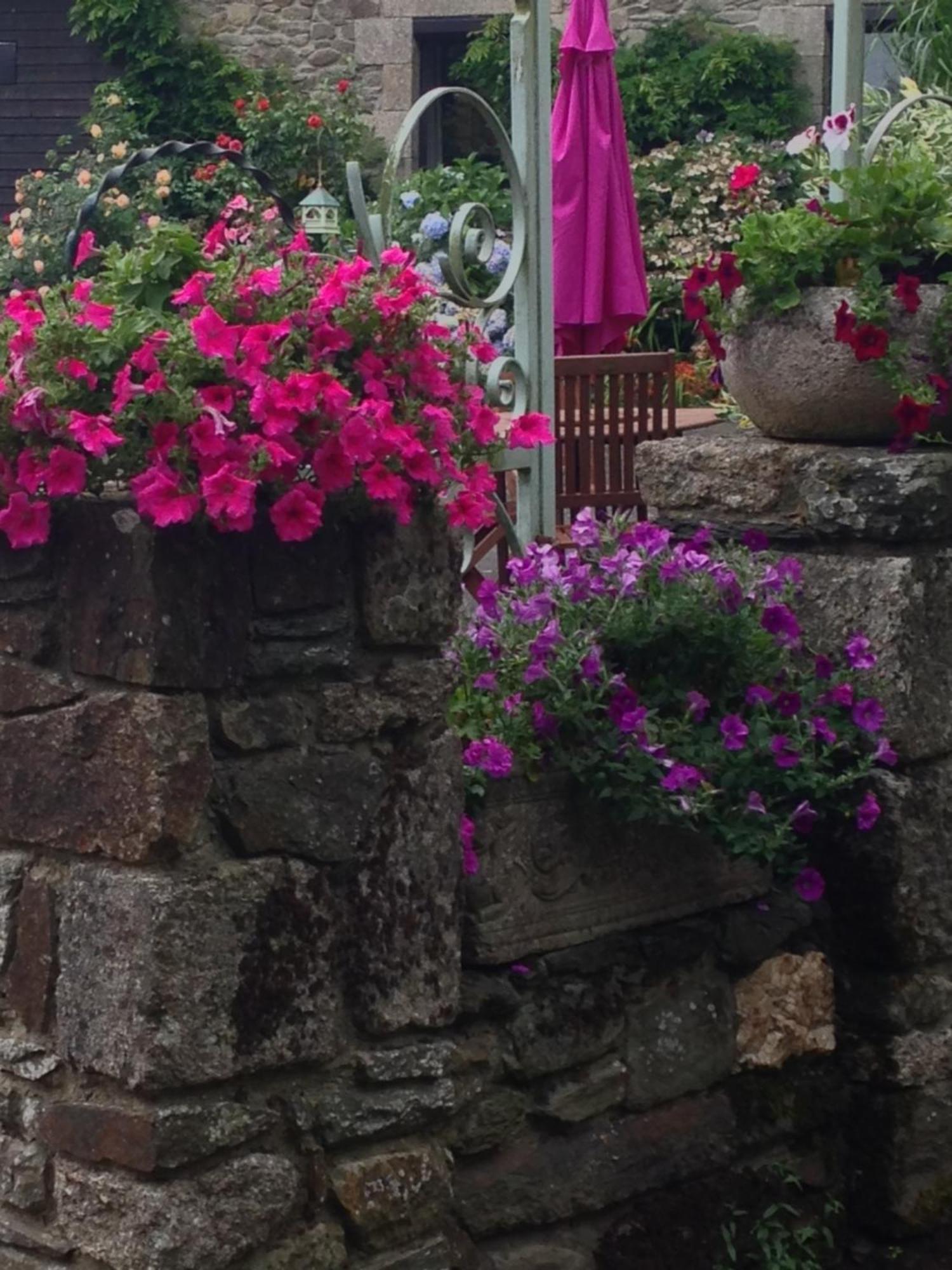 Le Petit Chateau, Matisse Noyal-Pontivy ภายนอก รูปภาพ